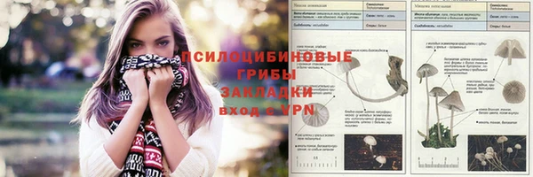 ECSTASY Бронницы