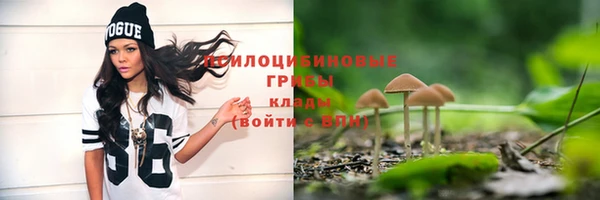 винт Бородино