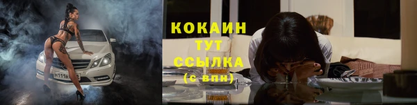 винт Бородино