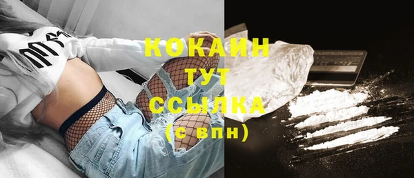 винт Бородино